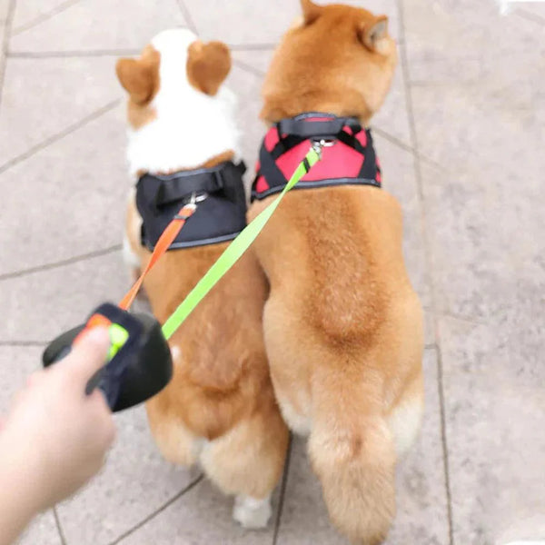 DualDog | Podwójna smycz dla psów