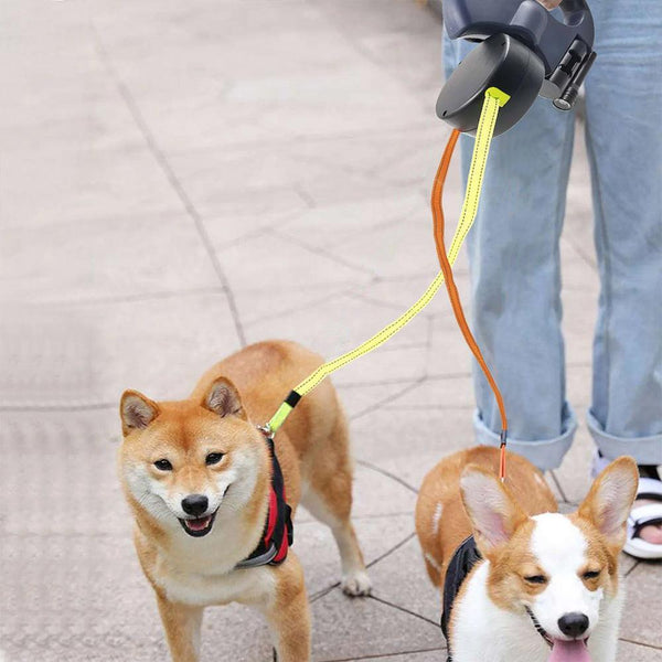DualDog | Podwójna smycz dla psów
